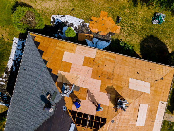 Best Roof Leak Repair  in Shell Ridge, CA
