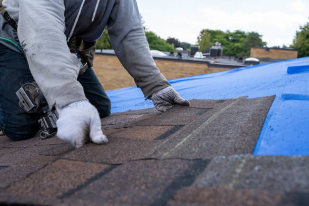 Best Commercial Roofing Services  in Shell Ridge, CA