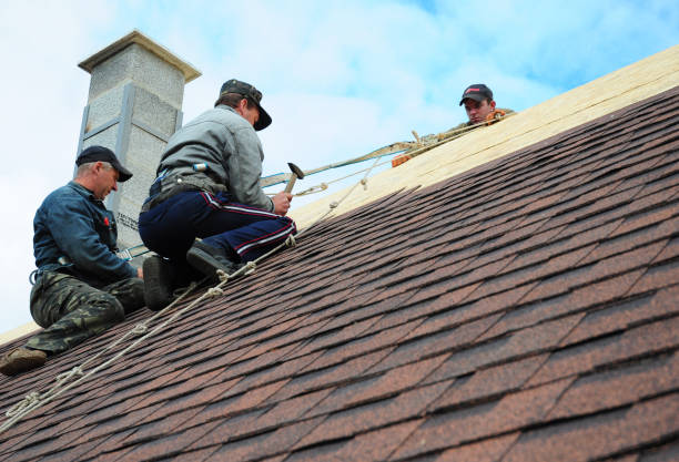 Best Gutter Installation and Roofing  in Shell Ridge, CA
