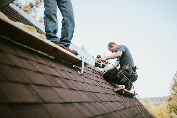 Best Roof Repair Services  in Shell Ridge, CA